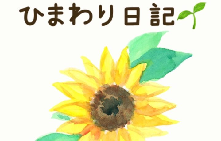 ひまわりが咲いているところ