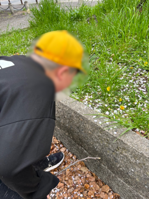 一生懸命に宝を探しているお子様