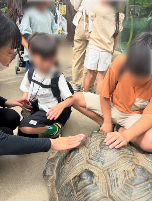 ゾウカメと触れ合いする様子
